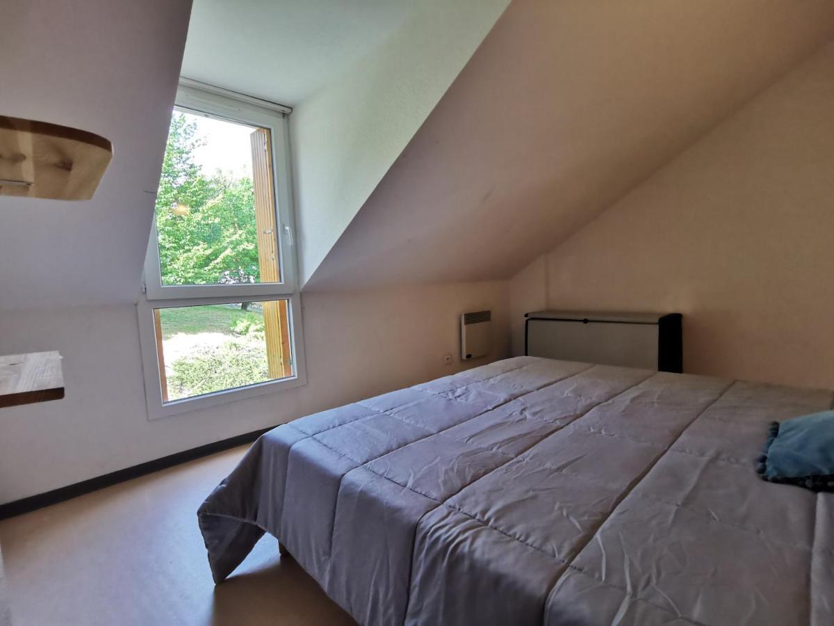 Saint-Geniez-dʼOlt Au 11 T3 Duplex, Village Vacances, Piscines, Parking מראה חיצוני תמונה